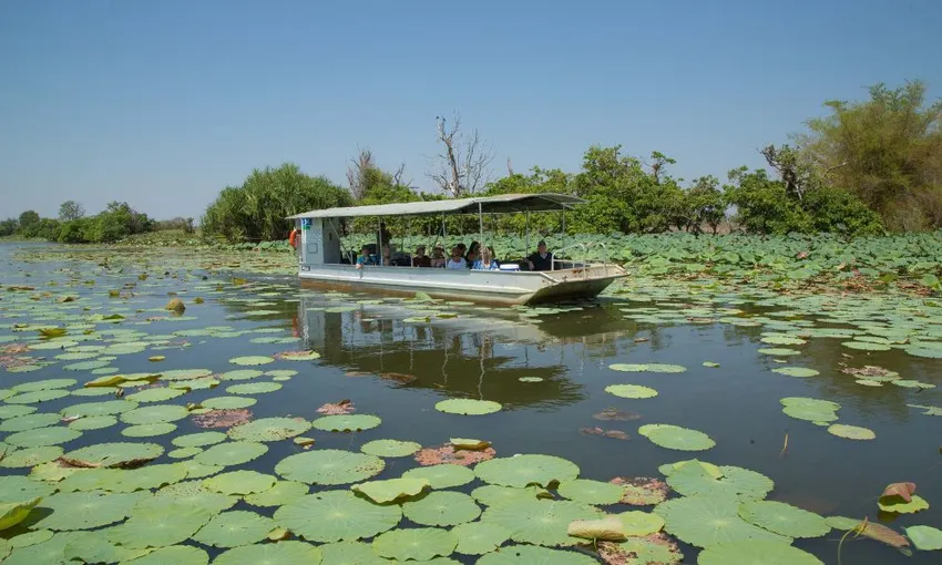 Darwin Wetlands Cruise with lunch and Hotel Transfers | Experience Oz