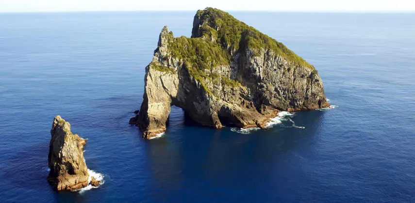 Bay of Islands Hole in the Rock Scenic Flight | Experience Oz
