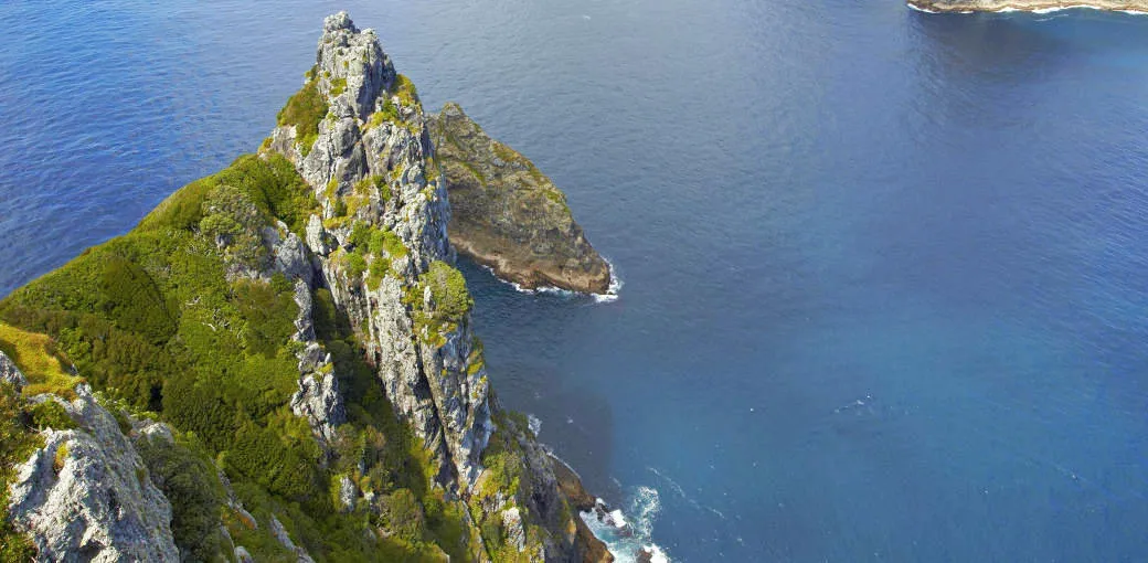 Bay of Islands Hole in the Rock Scenic Flight | Experience Oz-5