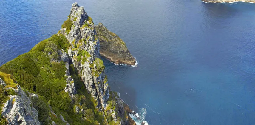 Bay of Islands Hole in the Rock Scenic Flight | Experience Oz