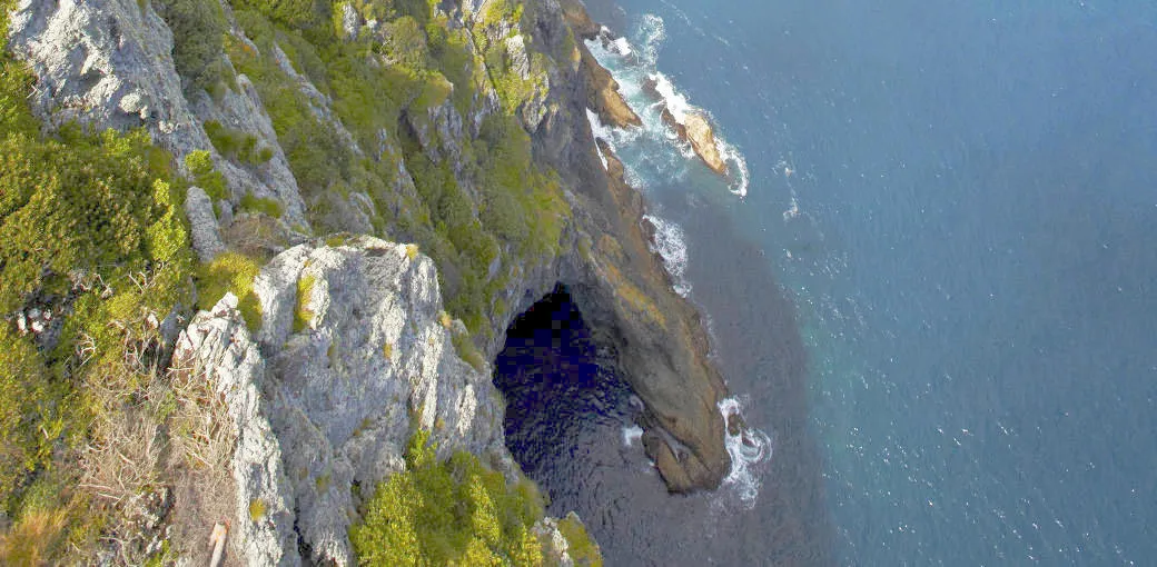 Bay of Islands Hole in the Rock Scenic Flight | Experience Oz-6