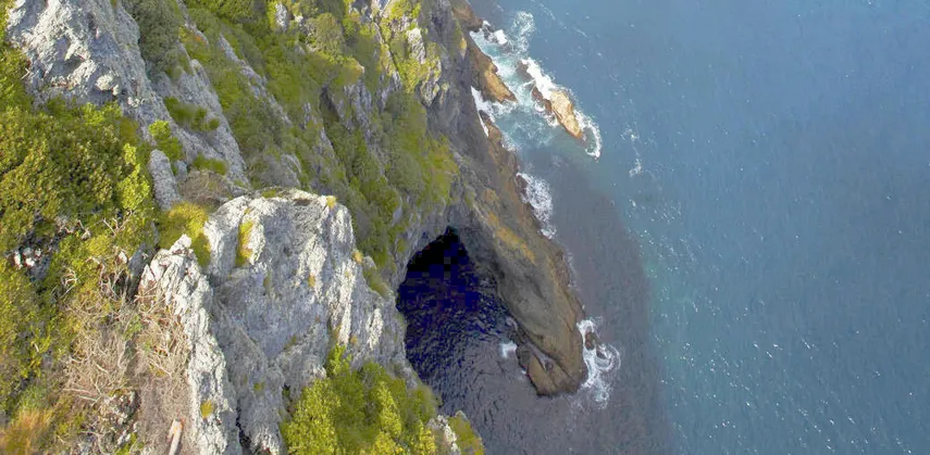 Bay of Islands Hole in the Rock Scenic Flight | Experience Oz