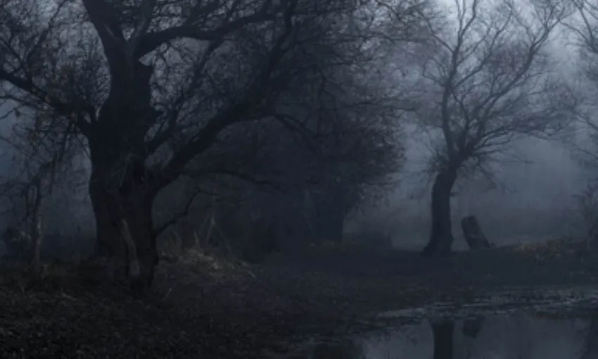 Eynesbury Homestead Ghost Tour with Dinner | Experience Oz
