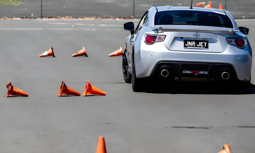 Melbourne Wild Ride Experience | Experience Oz