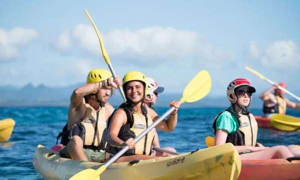 Byron Bay Dolphin Kayaking Tour