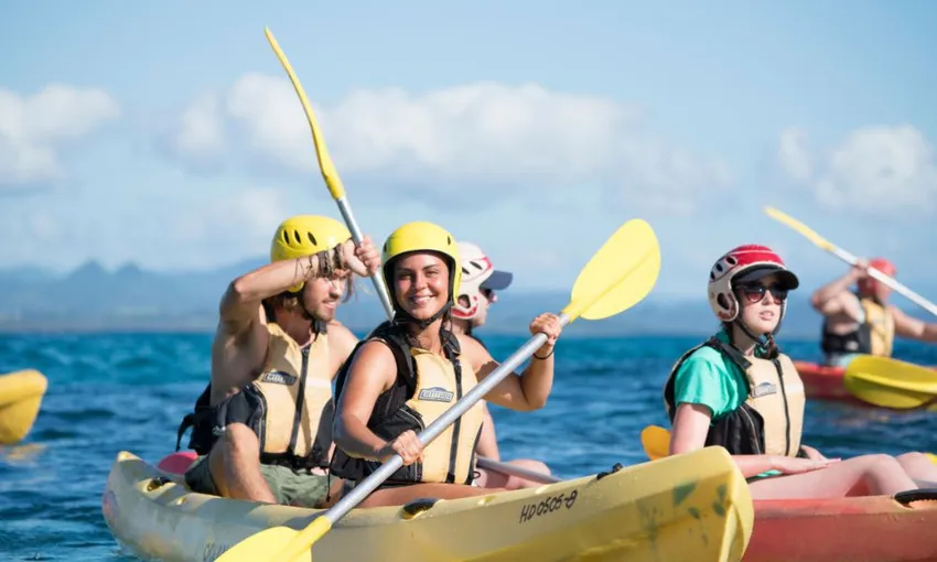 Byron Bay Dolphin Kayaking Tour - Book Now | Experience Oz + NZ