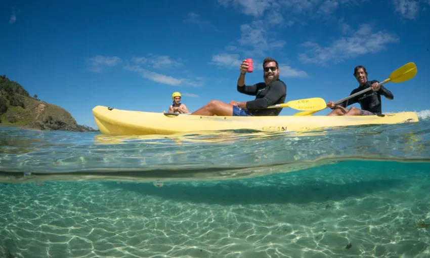 Byron Bay Dolphin Kayaking Tour - Book Now | Experience Oz + NZ