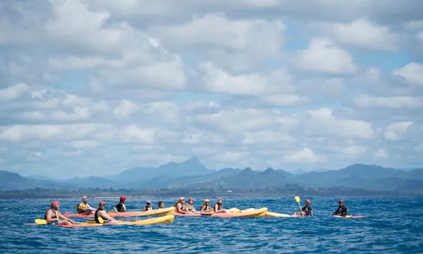 Byron Bay Dolphin Kayaking Tour
