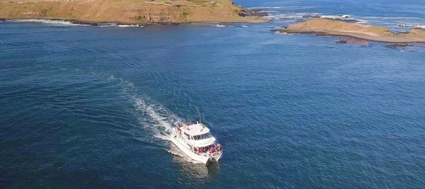 Phillip Island Seal Cruise - Book Now | Experience Oz + NZ