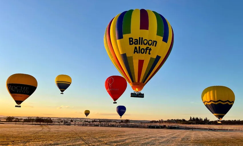 Hunter Valley Hot Air Balloon with Peterson House Breakfast | Experience Oz
