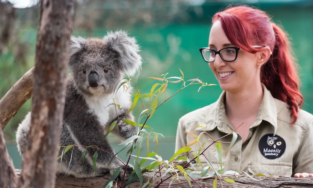Moonlit Sanctuary Tickets - Buy Online | Experience Oz-6