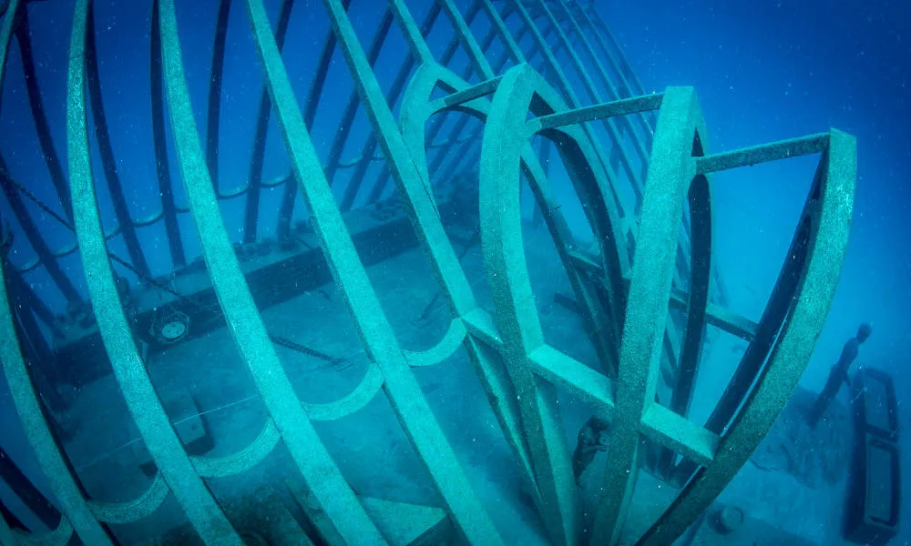 Townsville Outer Great Barrier Reef Diving Tour | Experience Oz-2