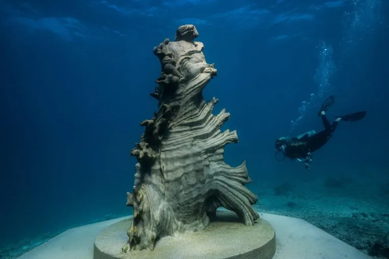 Townsville Outer Great Barrier Reef Diving Tour | Experience Oz