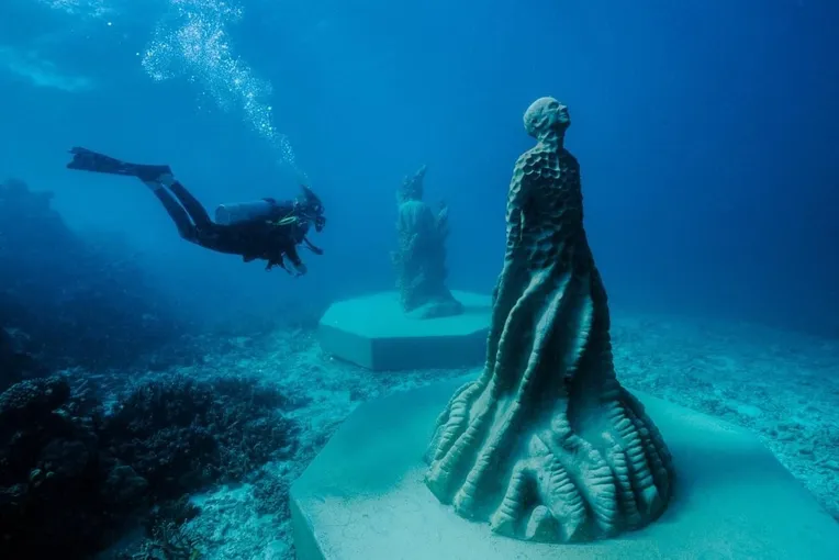 Townsville Outer Great Barrier Reef Diving Tour | Experience Oz