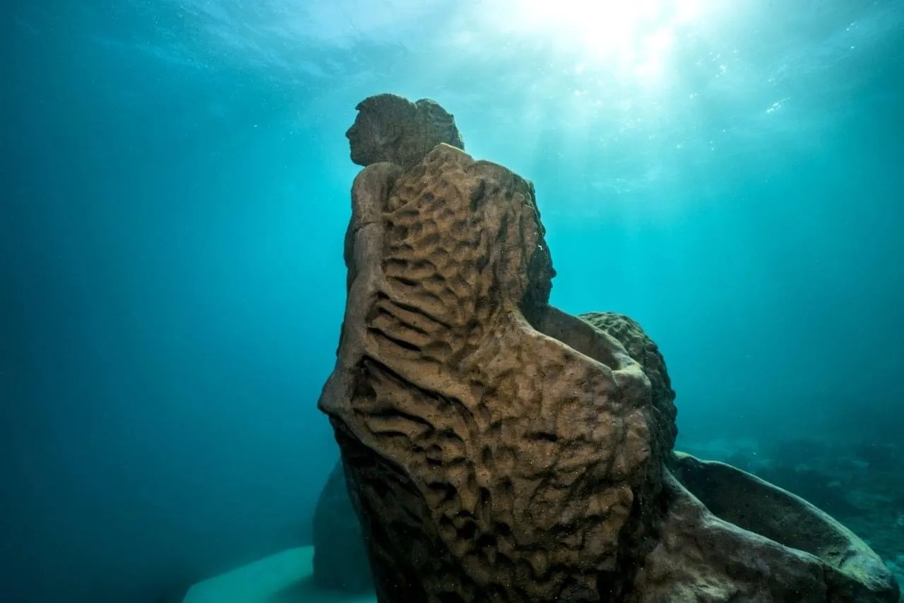 Townsville Outer Great Barrier Reef Diving Tour | Experience Oz-9