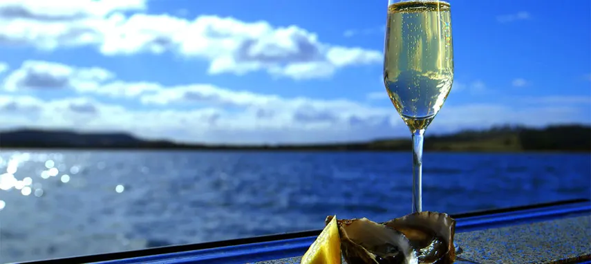 Gourmet Tasmanian Seafood Seduction Cruise from Hobart | Experience Oz