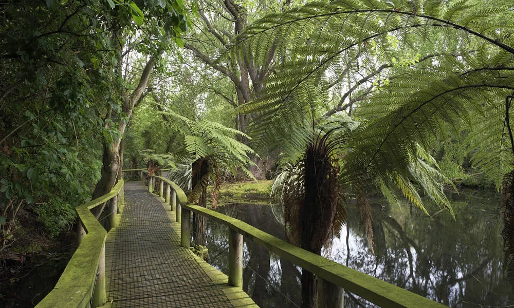 Willowbank Wildlife Reserve Admission - Book Online | Experience Oz-6