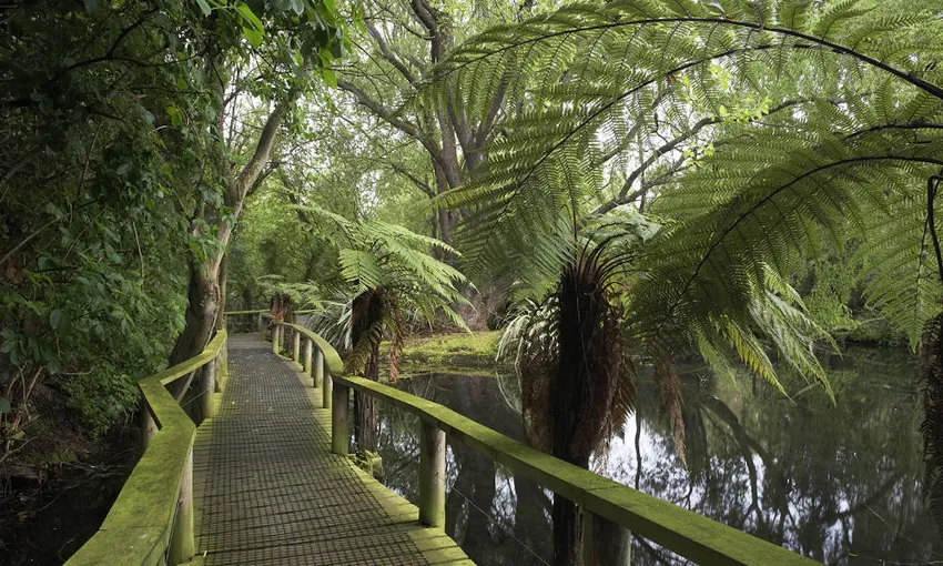 Willowbank Wildlife Reserve Admission - Book Online | Experience Oz