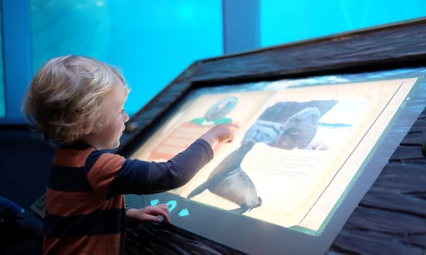 SEA LIFE Sunshine Coast Aquarium | Experience Oz