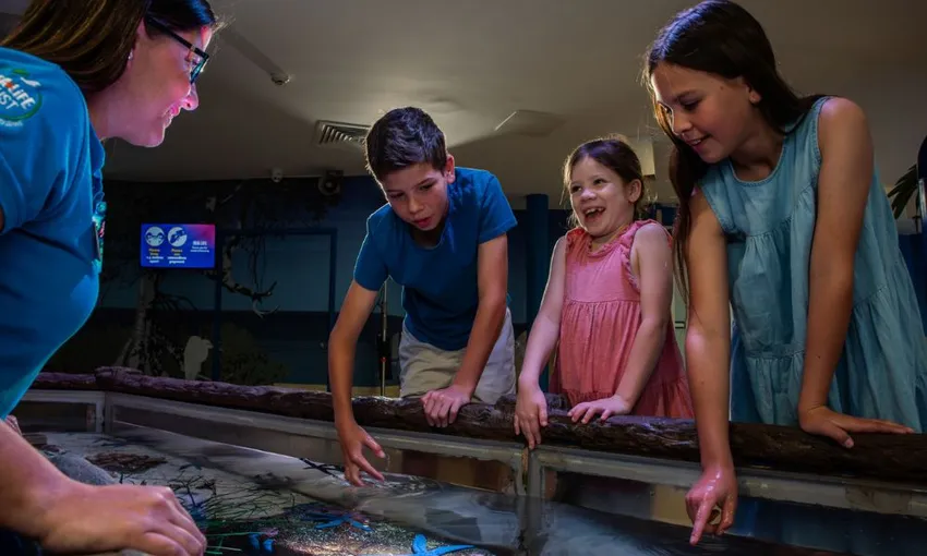 SEA LIFE Sunshine Coast Aquarium | Experience Oz