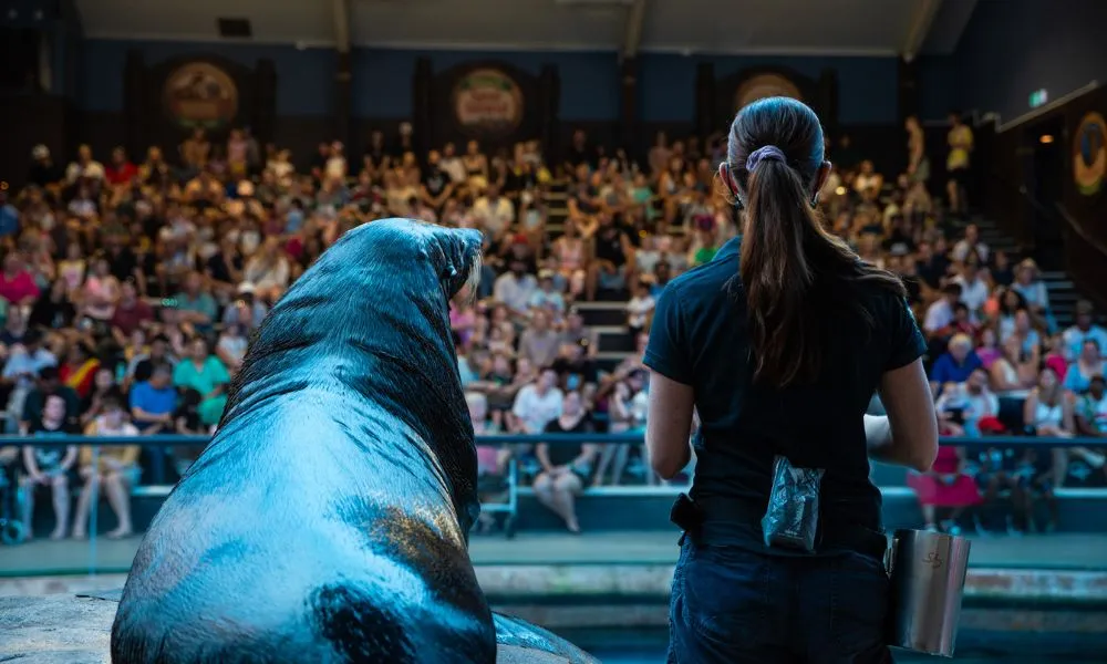 SEA LIFE Sunshine Coast Aquarium | Experience Oz-3