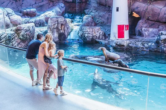 SEA LIFE Sunshine Coast Entry Tickets