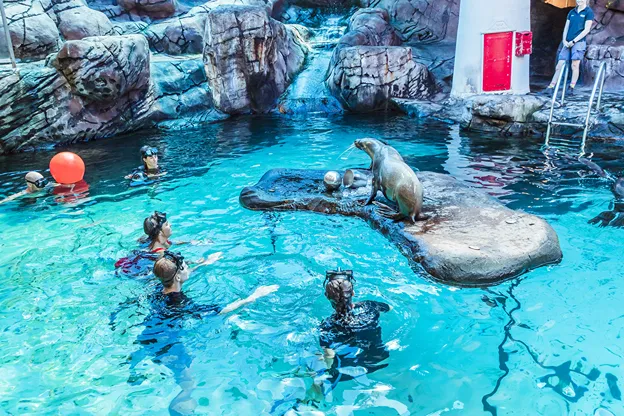 SEA LIFE Sunshine Coast Aquarium | Experience Oz