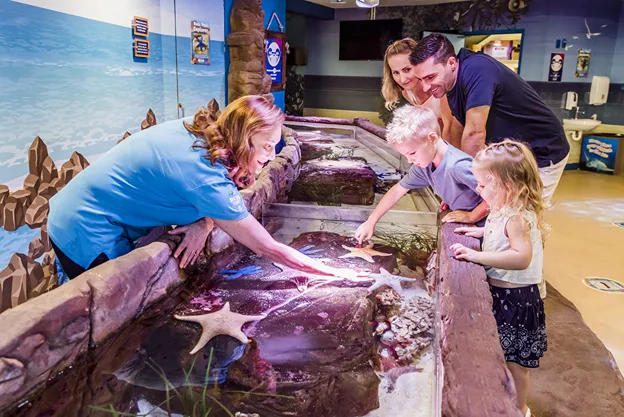 SEA LIFE Sunshine Coast Aquarium | Experience Oz