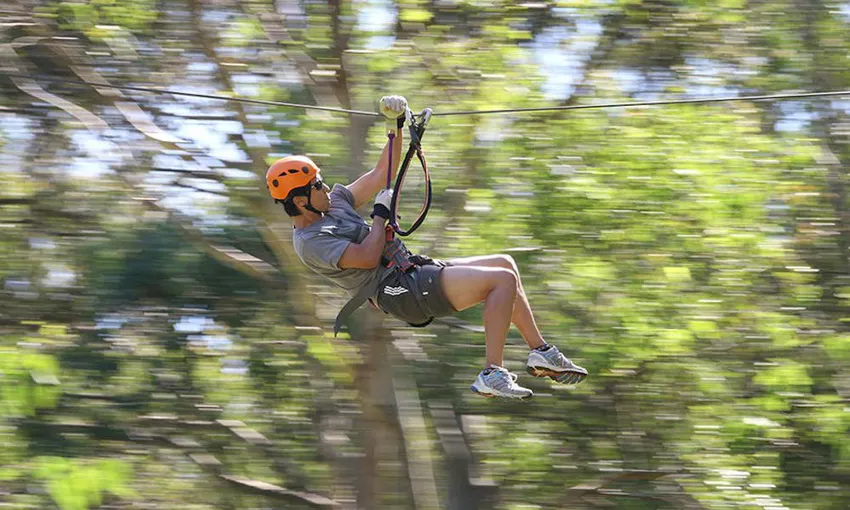Central Coast TreeTop Adventure Park - Book Now | Experience Oz