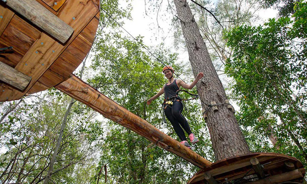 Central Coast TreeTop Adventure Park - Book Now | Experience Oz-2