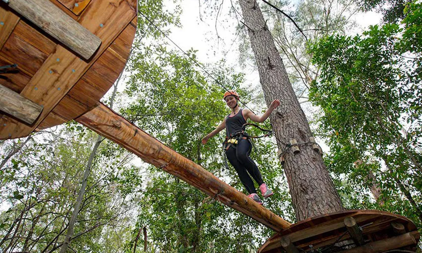 Central Coast TreeTop Adventure Park - Book Now | Experience Oz