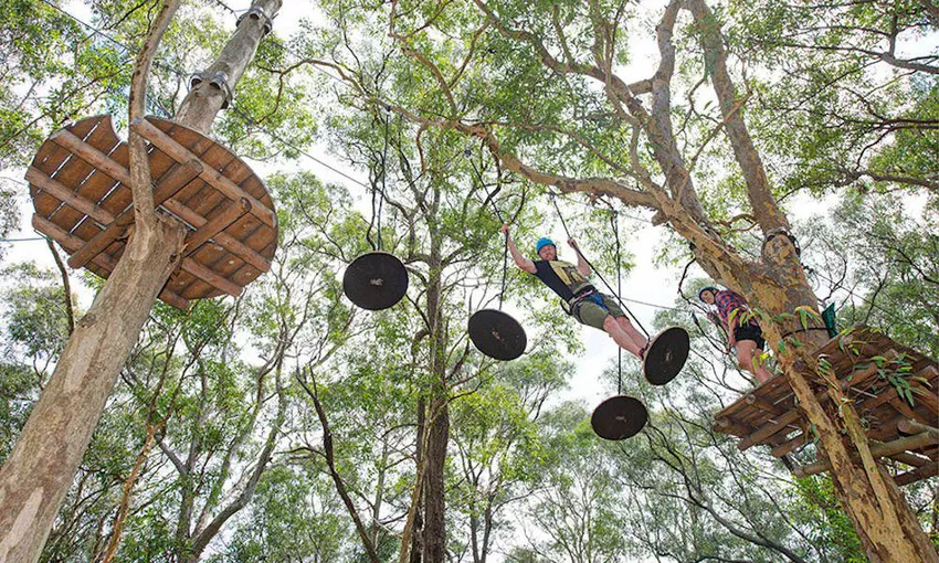 Central Coast TreeTop Adventure Park - Book Now | Experience Oz
