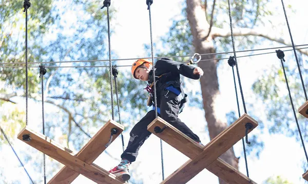 TreeTop Adventure Park Central Coast - 2.5 Hours
