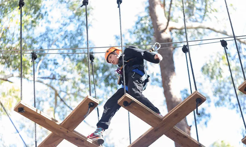 Central Coast TreeTop Adventure Park - Book Now | Experience Oz