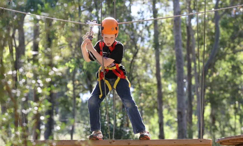 TreeTop Adventure Park Sydney - Book Now | Experience Oz