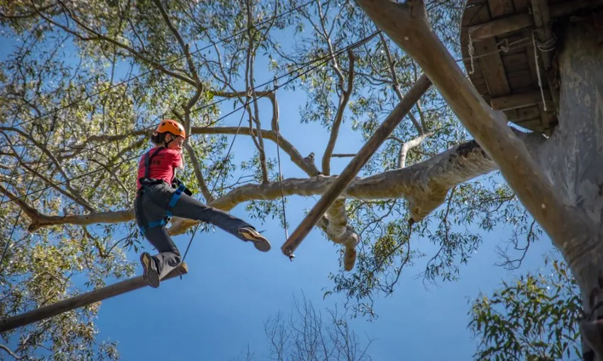 TreeTop Adventure Park Sydney - Book Now | Experience Oz