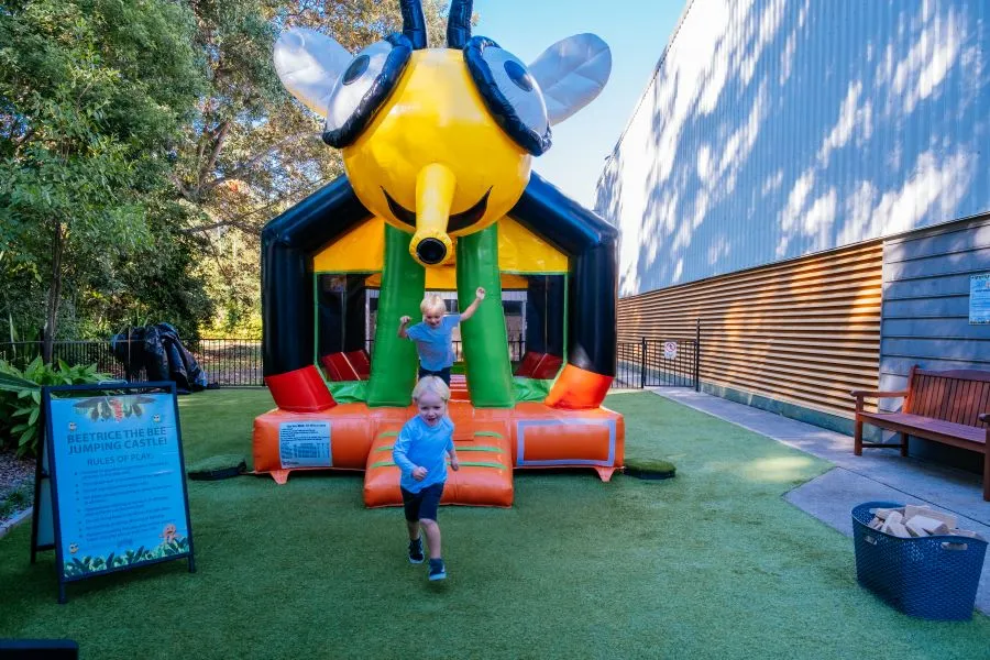 Ginger Factory Sunshine Coast Rides Deal | Experience Oz-5