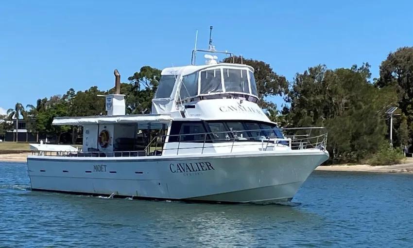 Whale Watching Without The Crowds - Book Now | Experience Oz