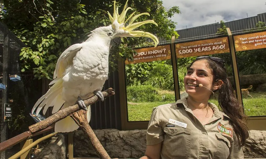 WILD LIFE Sydney Zoo General Admission | Experience Oz