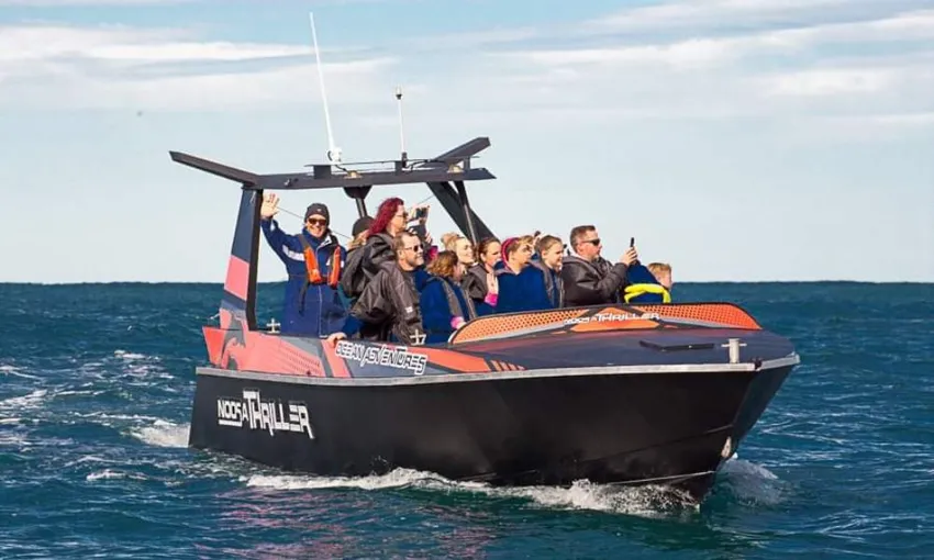 Dolphin & National Park Ocean Tour