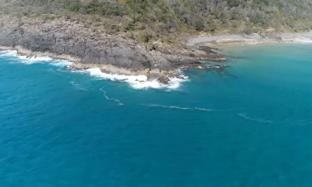 Noosa Ocean Adventure - Dolphins-4