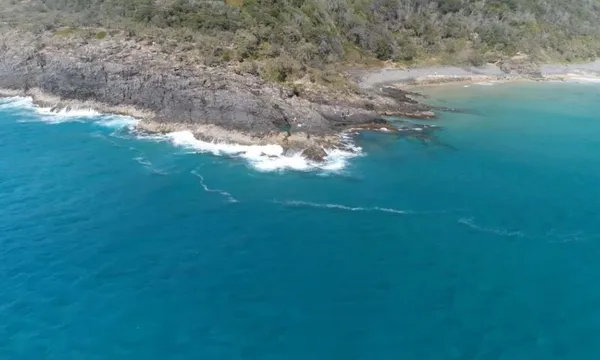 Dolphin & National Park Ocean Tour
