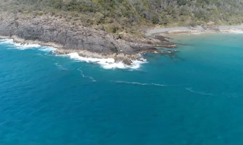 Dolphin & National Park Ocean Tour