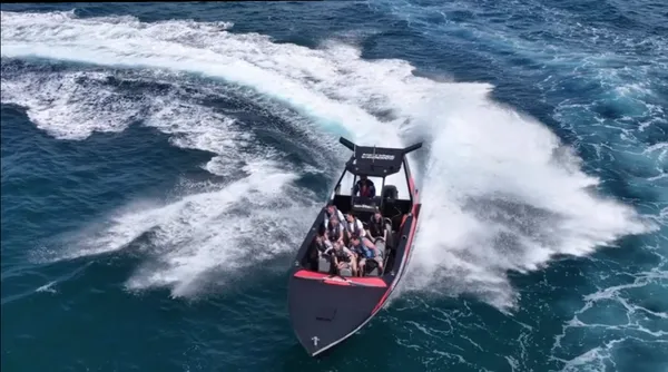 Dolphin & National Park Ocean Tour