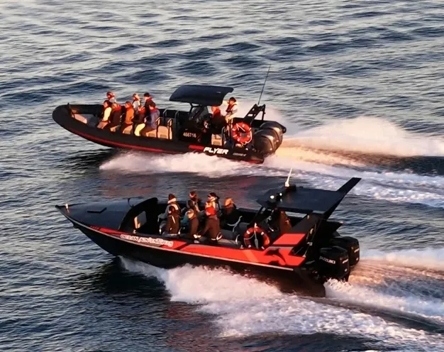 Dolphin & National Park Ocean Tour-10