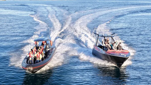 Dolphin & National Park Ocean Tour