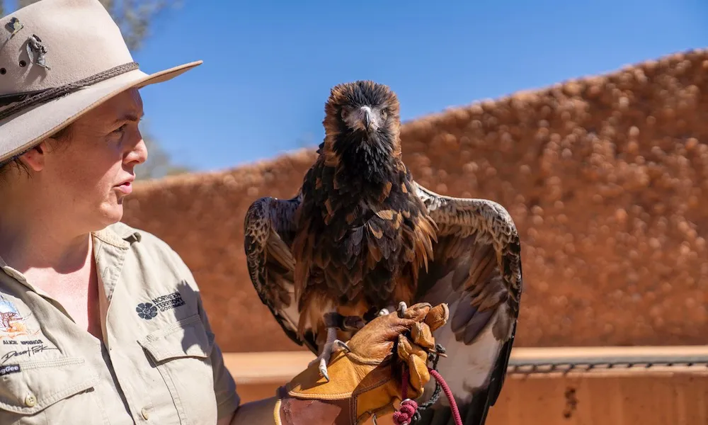 Alice Springs Desert Park Tickets - Buy Now | Experience Oz-4