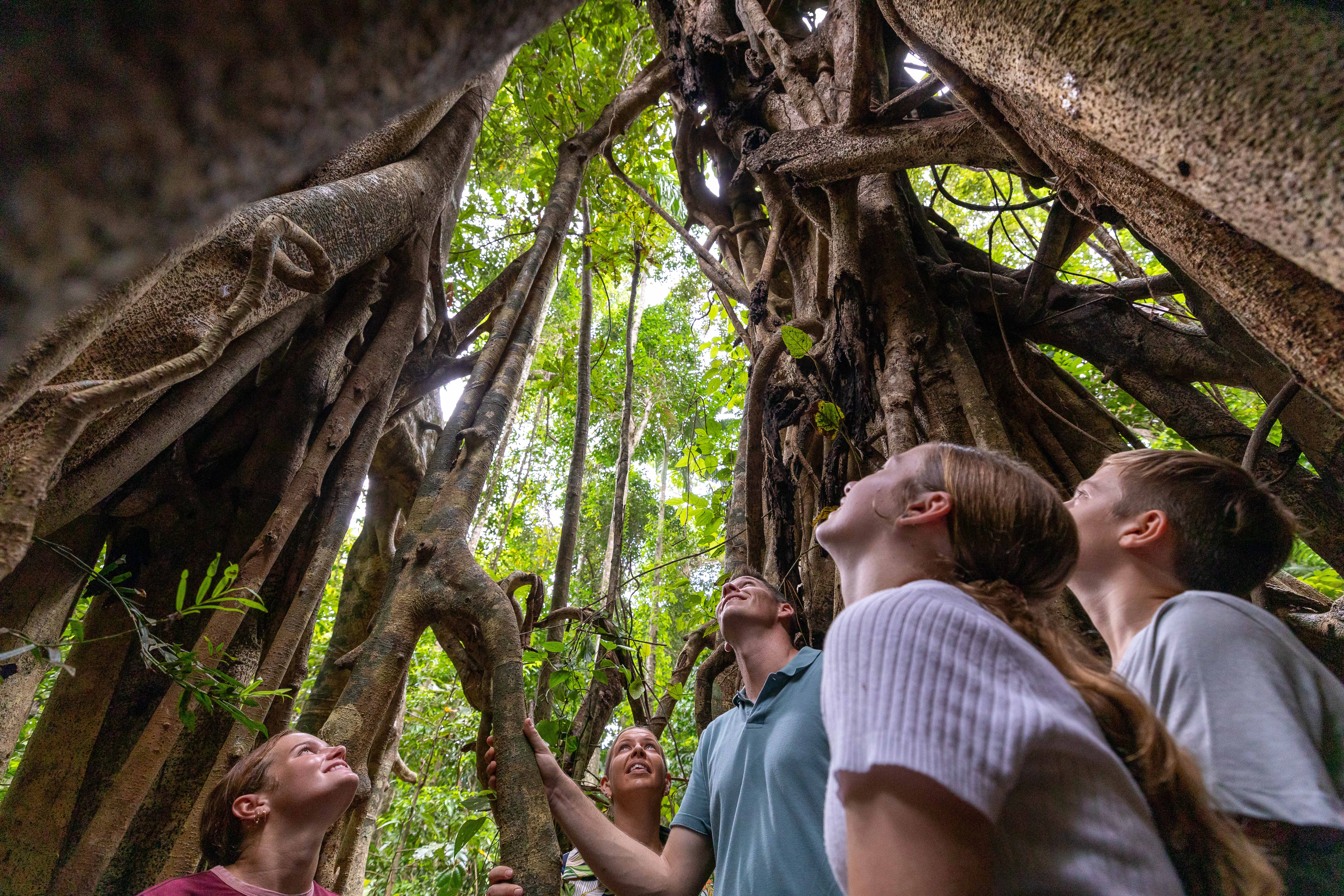 Whitsundays Rainforest Segway Tour | Experience Oz-9