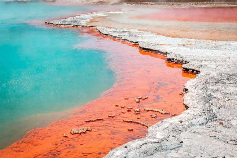 Wai O Tapu Thermal Wonderland Rotorua | Experience Oz