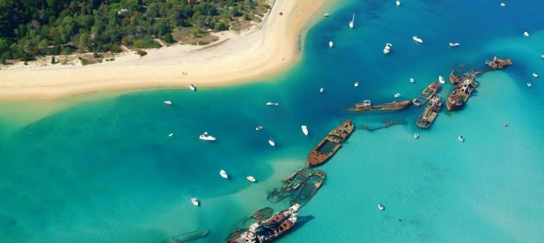 Brisbane to Moreton Island Scuba Diving Tour - Book Now | Experience Oz-5